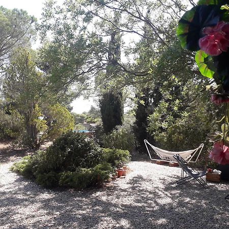 Chalet Les Cigalines Au Calme Fabrezan Luaran gambar